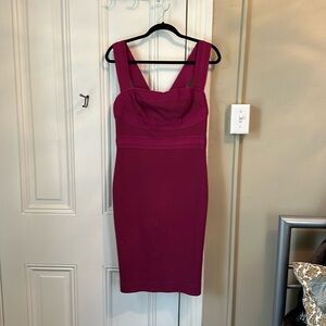 Robert Rodriguez raspberry color body con dress